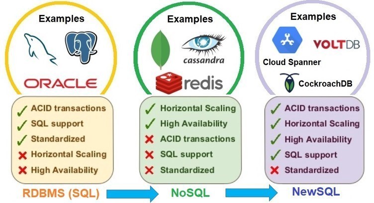 Type of Database Support both SQL, No-SQL and New-SQL